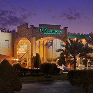 Montrose - A Mayfair Collection Hotel